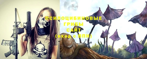 сатива Алзамай