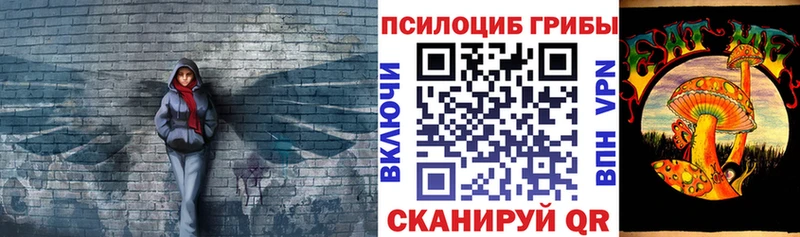 наркотики  Кувшиново  Псилоцибиновые грибы Psilocybine cubensis 